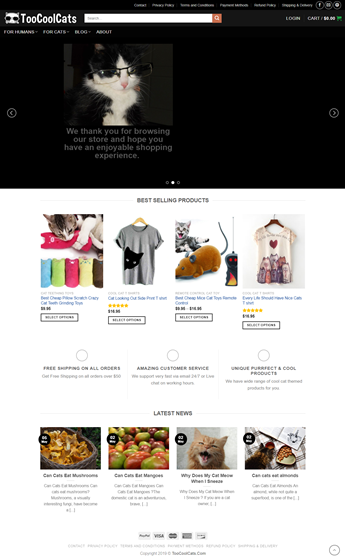 Cool Cat Themed Unique Funny Gifts : Cool Cat Themed Unique Funny Gifts 